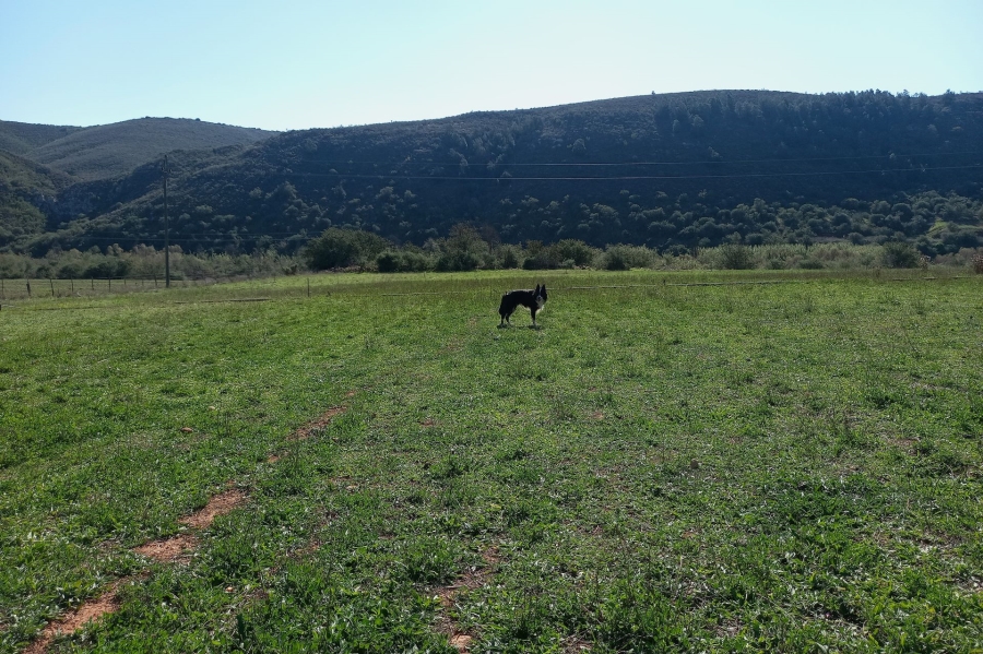 Commercial Property for Sale in George Rural Western Cape